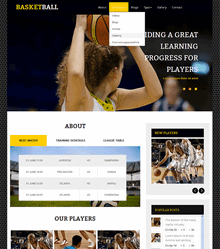 英文体育篮球俱乐部网站模板html