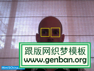 Eye Detection result