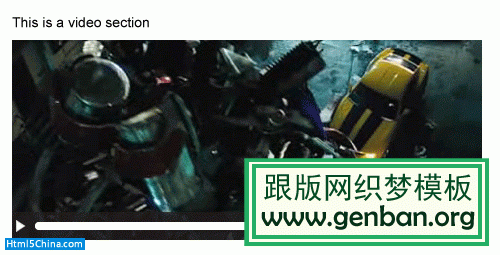 播放视频的窗口，底部具有时间跟踪器和音量控件。