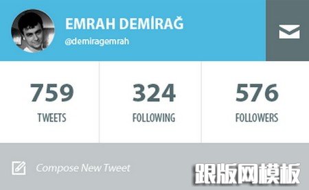 Twitter Profile Widget Free .PSD