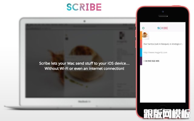 ScribeCopyApp