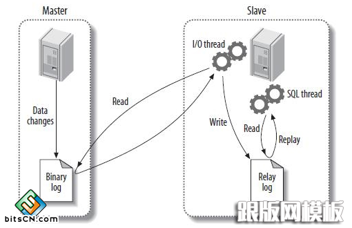 MySQL