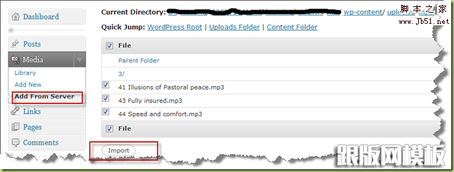 WP-PI-AddFromServer02